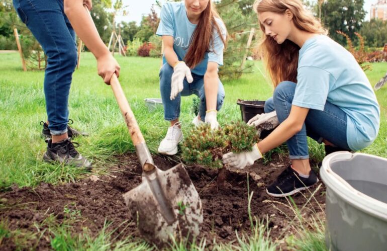 El Valor de la Acción